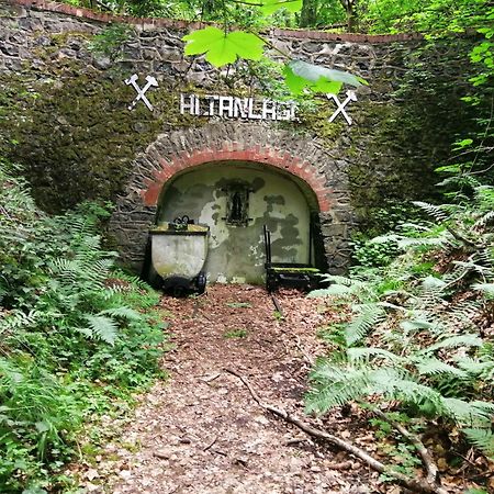 Ferienhaus 30 Am Silbersee Frielendorf Eksteriør bilde